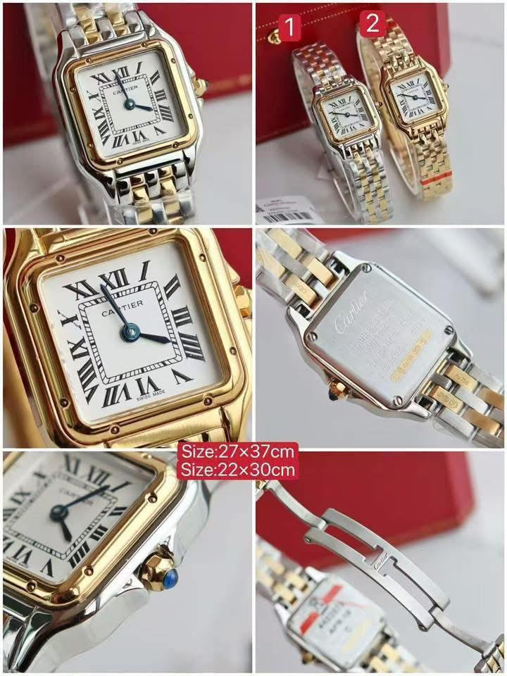 Luxury Watch