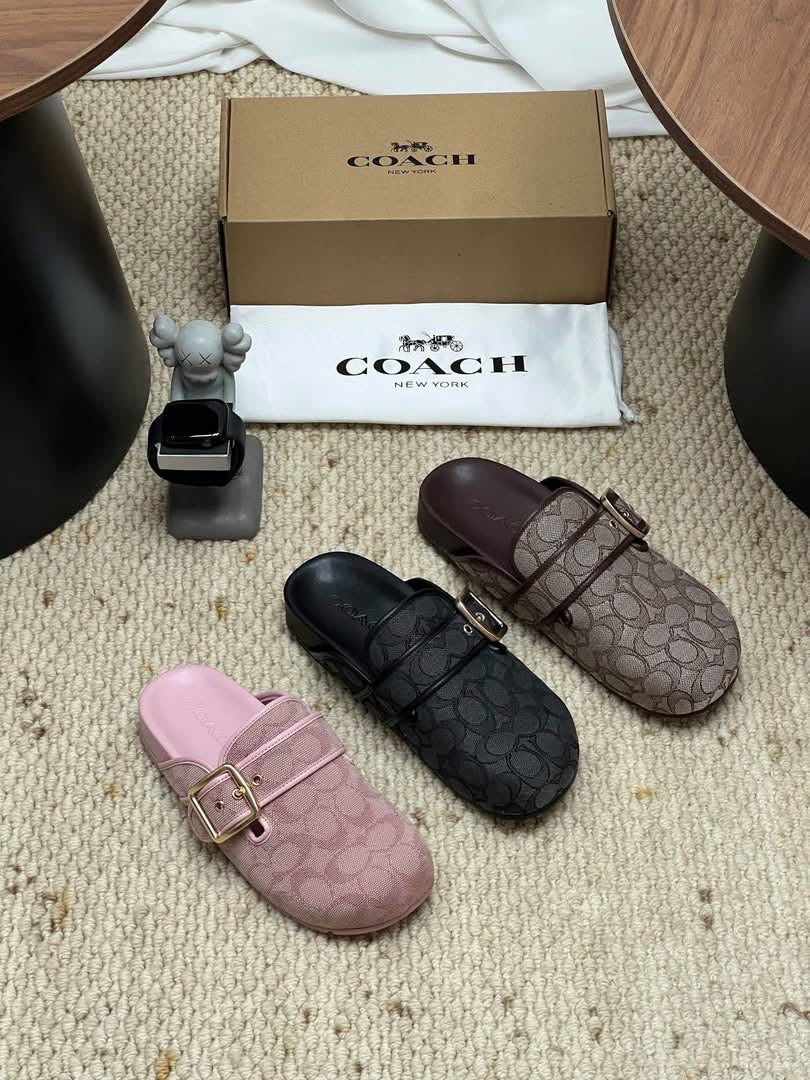 Classy Closet Clog